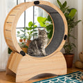 Katzenrad für Wohnungskatzen, Laufband mit teppichbelegter Lauffläche, Katzen-Übungslaufrad, Unterhaltung für Katzen 88,9 cm L x 34,8 cm B x 126,0 cm H, Naturholz