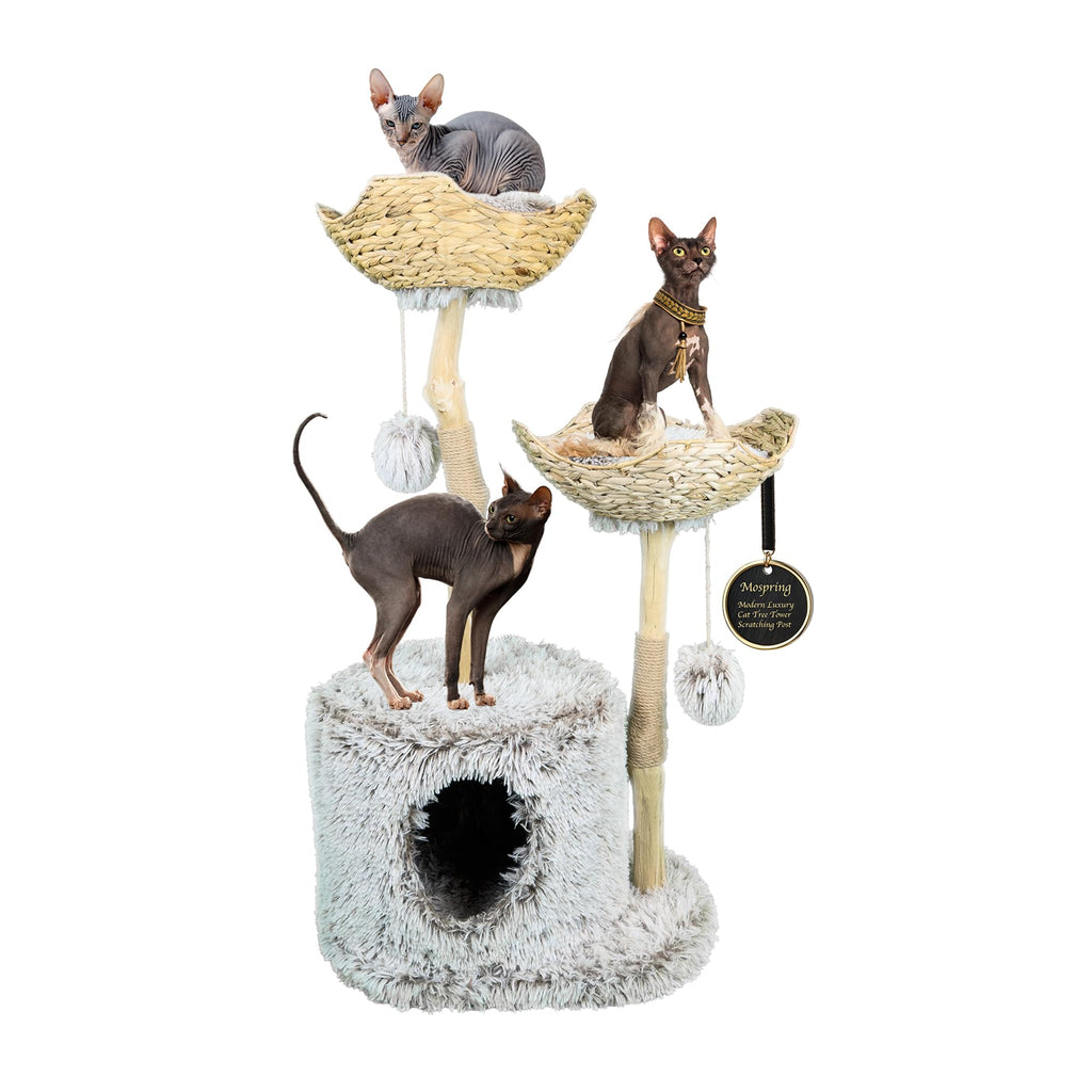 Mospring Katzenbaum-Turm | Modernes Katzenmöbel | Echter Holzast als Kratzpfosten | Großes Katzenkondominium | Mehrkatzen-Liegeplatz | Grau | 46 Zoll