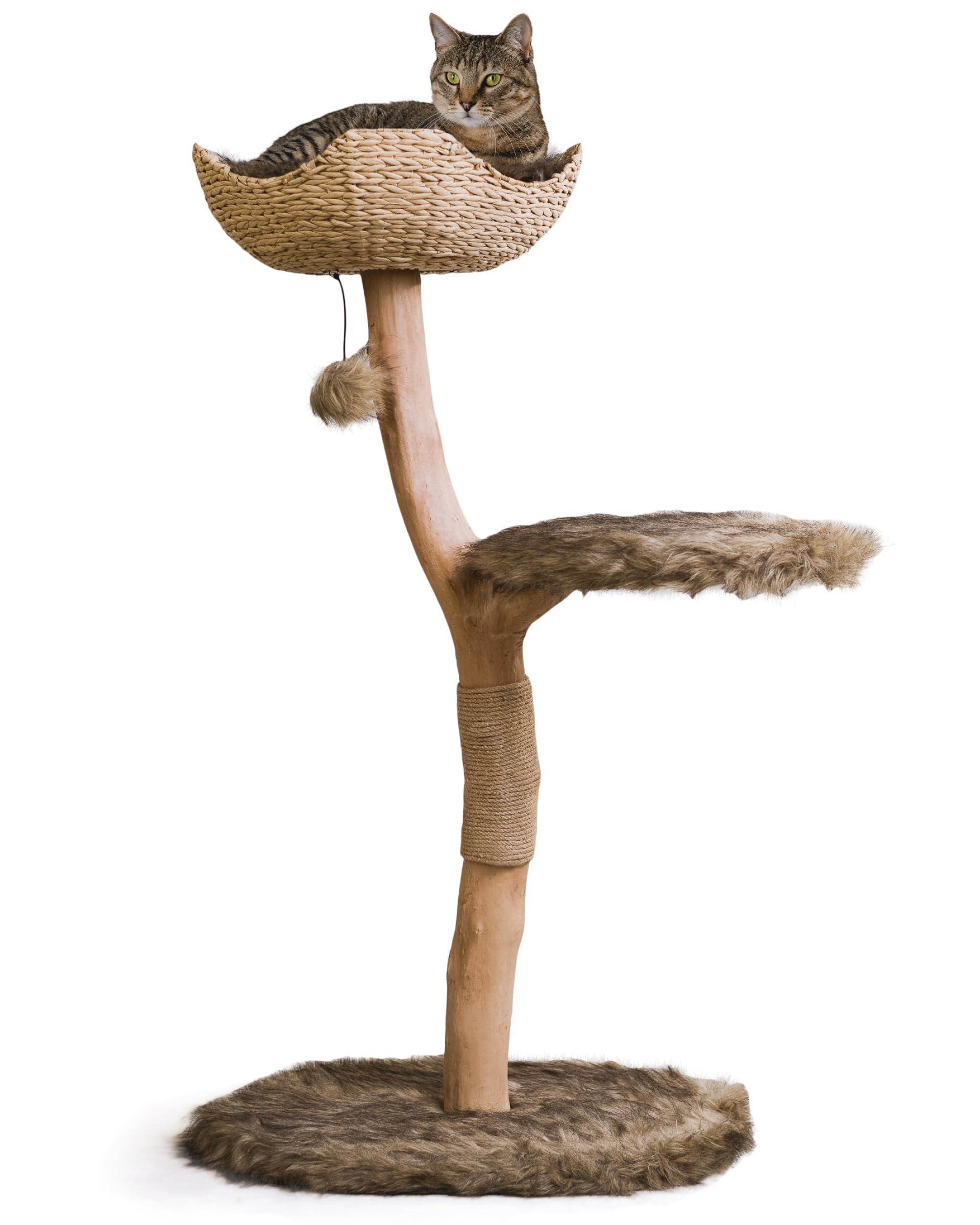 Holz Katzenbaum Turm Moderner Einzelzweig Katzencondo Holz Katzenbaum Kletterbaum für Katzen Katzenliebhaber Geschenk Katzenmöbel Katze Geschenk von MAU LIFESTYLE (Braun)