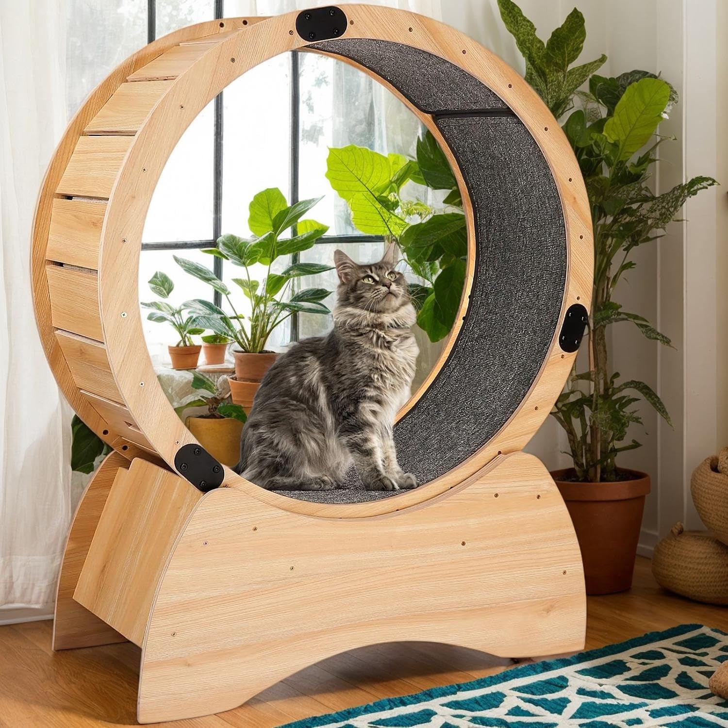 Katzenrad für Wohnungskatzen, Laufband mit teppichbelegter Lauffläche, Katzen-Übungslaufrad, Unterhaltung für Katzen 88,9 cm L x 34,8 cm B x 126,0 cm H, Naturholz